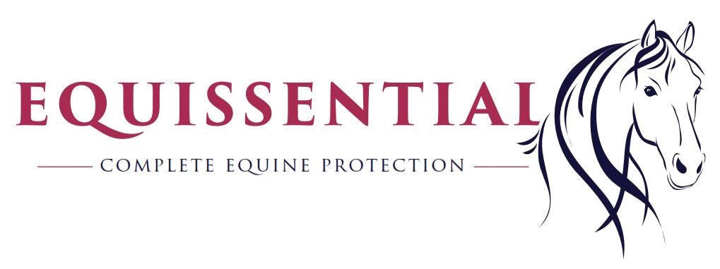 Equissential logo